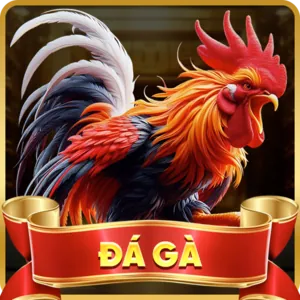 Đá gà trực tuyến tại hi8 cổng game chính thức